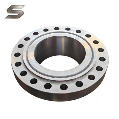 جعلی سٹینلیس سٹیل فلانج